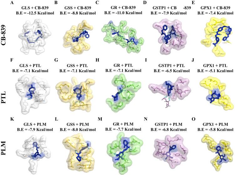 https://cdn.ncbi.nlm.nih.gov/pmc/blobs/1a1d/9909732/7da1d2af8687/ac2c04255_0007.jpg
