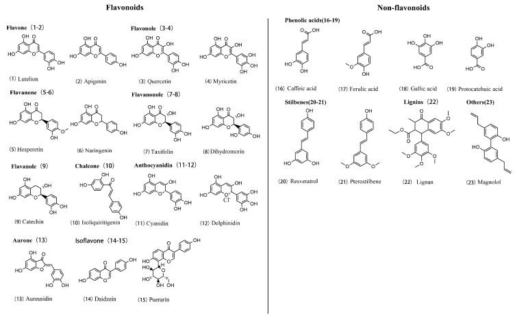 https://cdn.ncbi.nlm.nih.gov/pmc/blobs/1a1f/11722366/db516d40691d/molecules-30-00020-g004.jpg