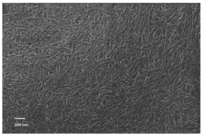 https://cdn.ncbi.nlm.nih.gov/pmc/blobs/1a20/5456852/e8e362e100ae/materials-09-00499-g002.jpg