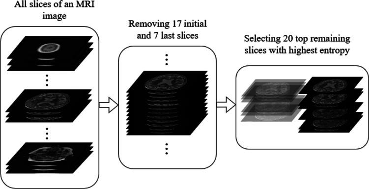 https://cdn.ncbi.nlm.nih.gov/pmc/blobs/1a22/10917836/237b73417be1/12021_2023_9646_Fig1_HTML.jpg