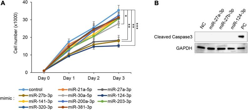https://cdn.ncbi.nlm.nih.gov/pmc/blobs/1a23/8219963/338e6e37025c/fcell-09-621045-g001.jpg