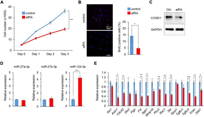 https://cdn.ncbi.nlm.nih.gov/pmc/blobs/1a23/8219963/f002cb55113d/fcell-09-621045-g003.jpg
