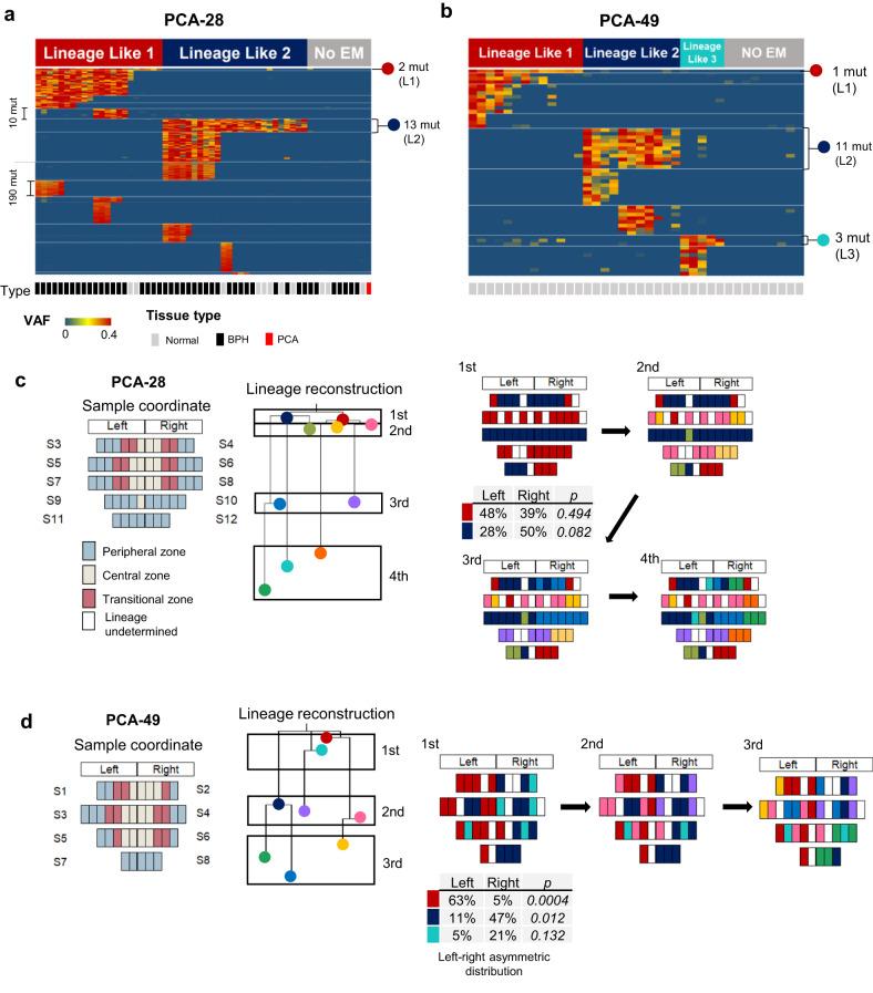 https://cdn.ncbi.nlm.nih.gov/pmc/blobs/1a24/10834420/83730376ee7e/12276_2023_1140_Fig4_HTML.jpg