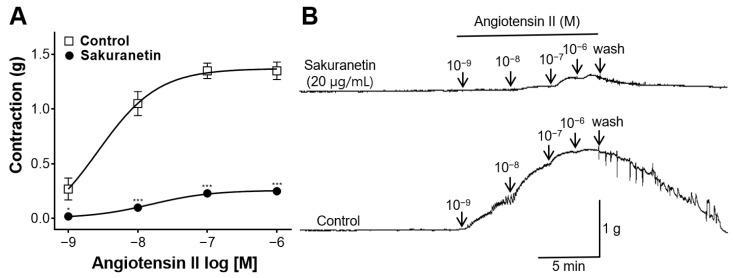 https://cdn.ncbi.nlm.nih.gov/pmc/blobs/1a25/10887318/b151ec35f59d/biomedicines-12-00346-g007.jpg