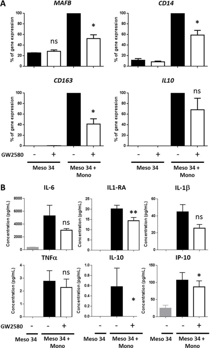 https://cdn.ncbi.nlm.nih.gov/pmc/blobs/1a26/7319783/62570f11294c/jitc-2019-000182f05.jpg