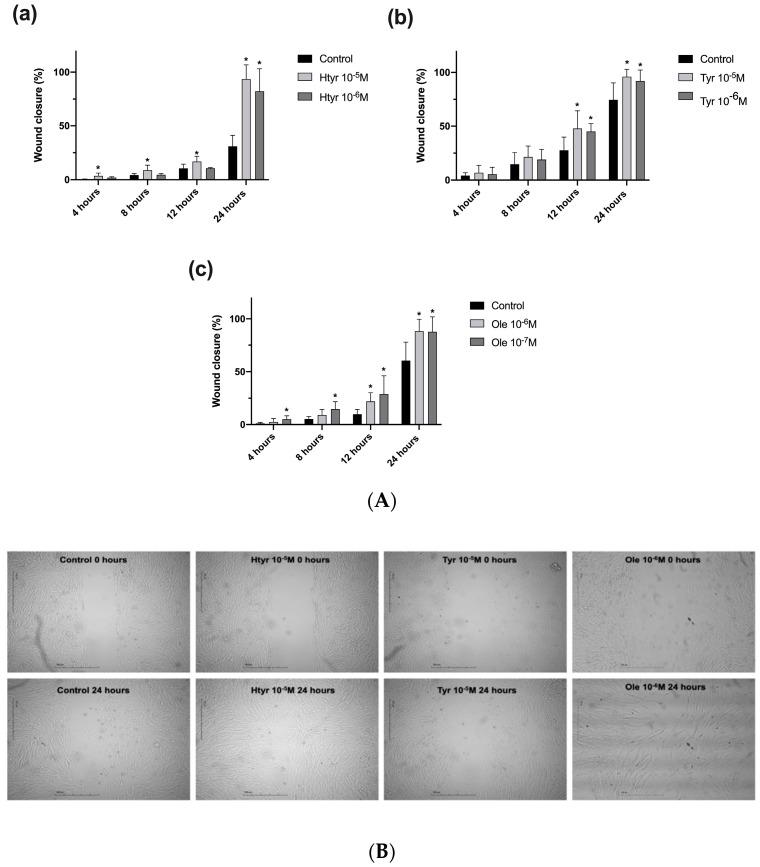 https://cdn.ncbi.nlm.nih.gov/pmc/blobs/1a27/10181161/32269387fe4b/nutrients-15-02077-g002.jpg