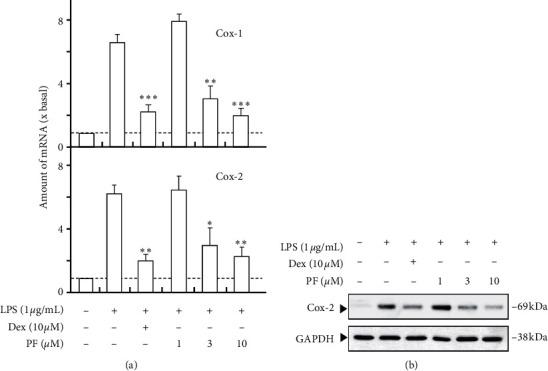 https://cdn.ncbi.nlm.nih.gov/pmc/blobs/1a27/7603573/00de3c2ef496/ECAM2020-2029134.003.jpg