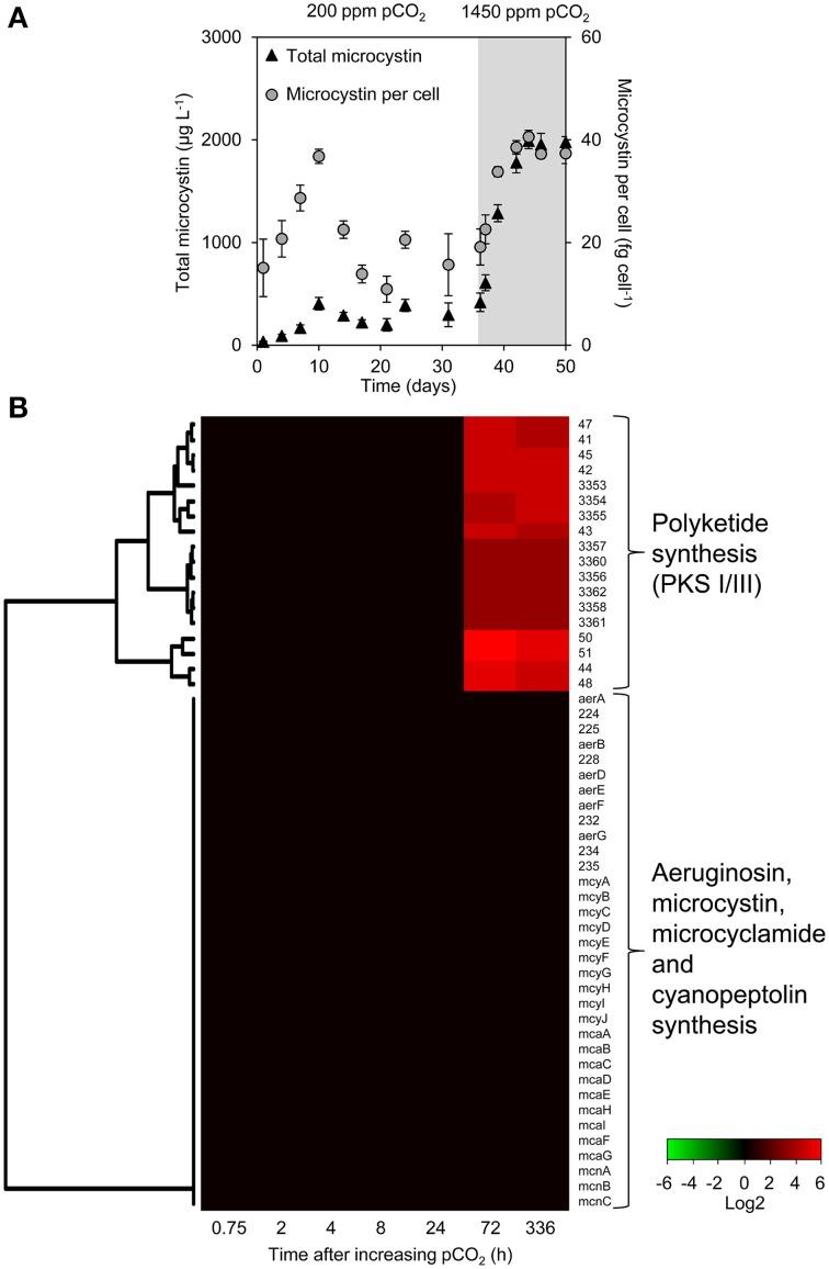 https://cdn.ncbi.nlm.nih.gov/pmc/blobs/1a29/4419860/42f66ab09373/fmicb-06-00401-g0004.jpg