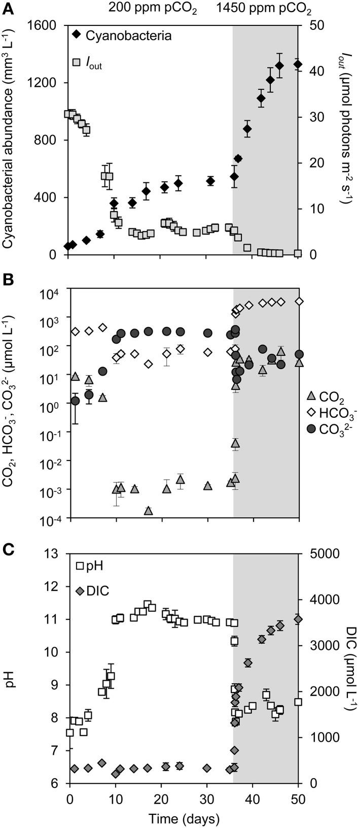 https://cdn.ncbi.nlm.nih.gov/pmc/blobs/1a29/4419860/6572393adf6e/fmicb-06-00401-g0001.jpg
