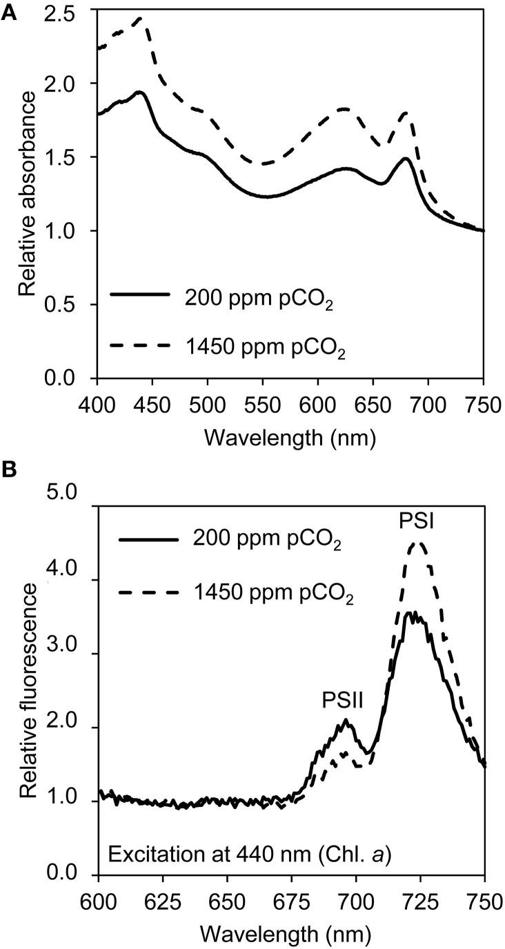 https://cdn.ncbi.nlm.nih.gov/pmc/blobs/1a29/4419860/990e0b0f7c59/fmicb-06-00401-g0003.jpg