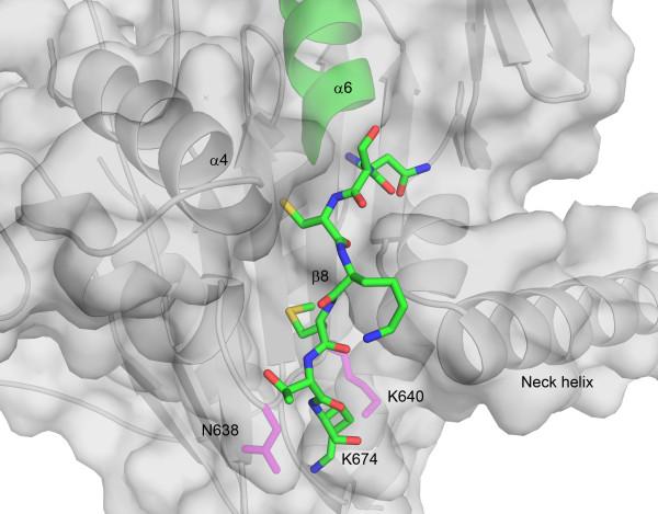 https://cdn.ncbi.nlm.nih.gov/pmc/blobs/1a2a/2906495/985fa578393a/1472-6807-10-19-5.jpg