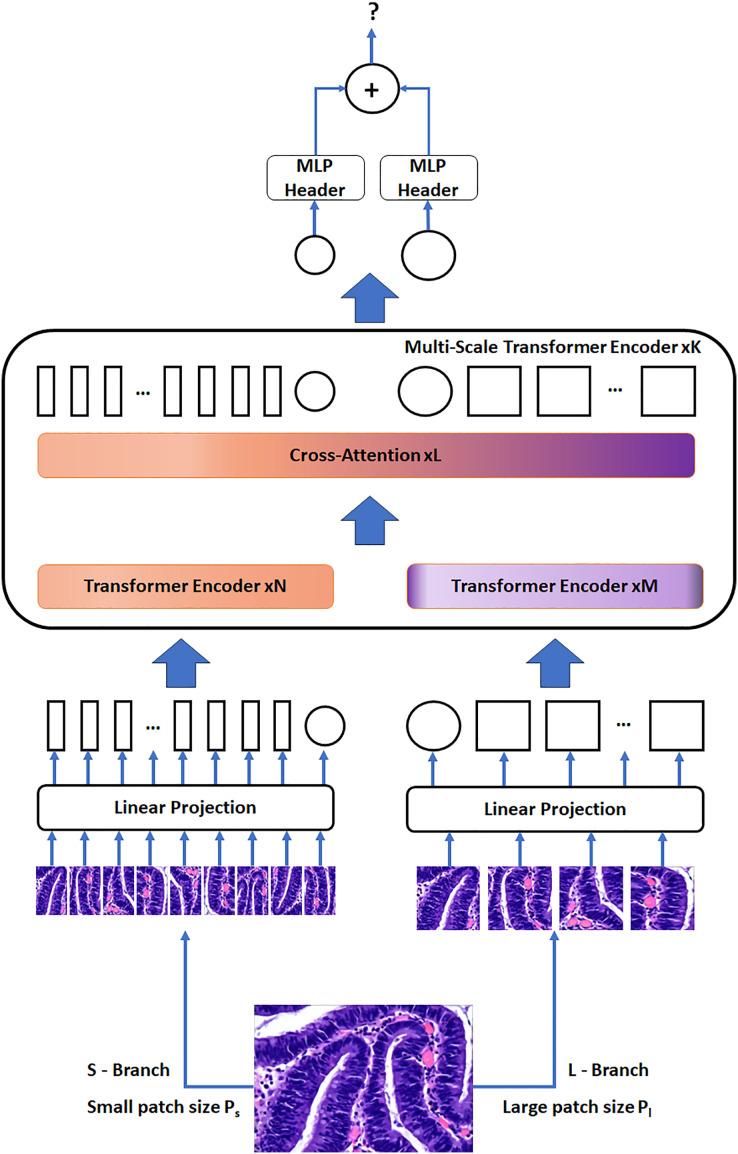 https://cdn.ncbi.nlm.nih.gov/pmc/blobs/1a2e/11157578/50e1158cb897/peerj-cs-10-2071-g004.jpg