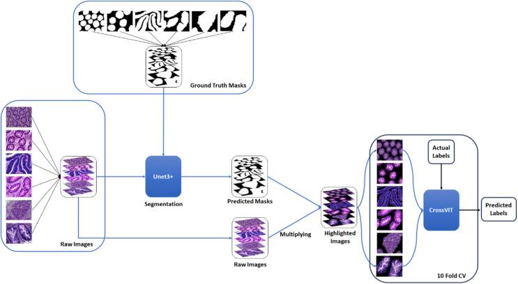 https://cdn.ncbi.nlm.nih.gov/pmc/blobs/1a2e/11157578/cb0e359295a8/peerj-cs-10-2071-g001.jpg
