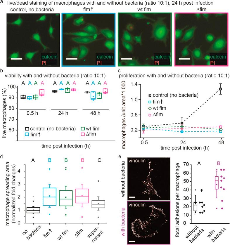 https://cdn.ncbi.nlm.nih.gov/pmc/blobs/1a31/4700443/f8918d8a9c44/srep18109-f4.jpg