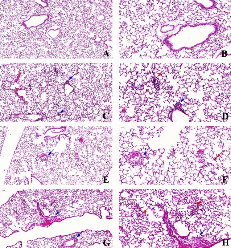 https://cdn.ncbi.nlm.nih.gov/pmc/blobs/1a33/7499199/c90008a59cdd/41598_2020_72130_Fig1_HTML.jpg