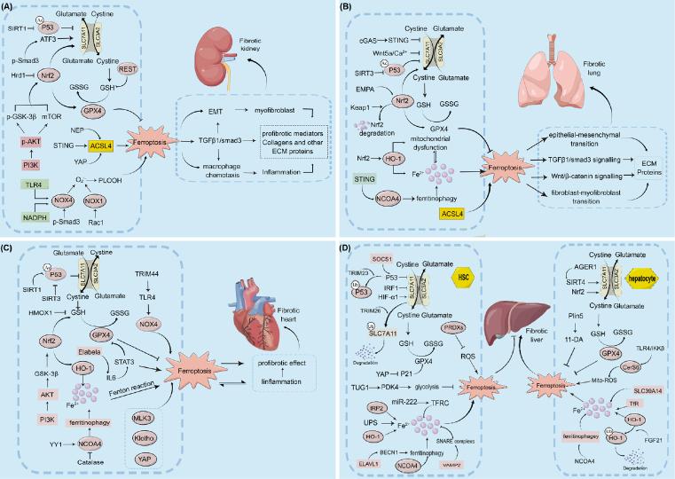 https://cdn.ncbi.nlm.nih.gov/pmc/blobs/1a37/10956731/3b1aa060d746/j_jtim-2023-0137_fig_003.jpg