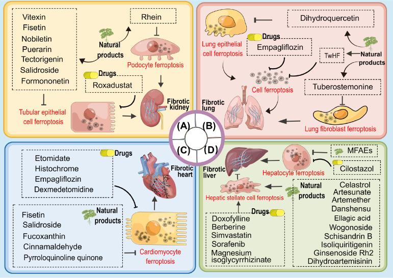 https://cdn.ncbi.nlm.nih.gov/pmc/blobs/1a37/10956731/7bce41a6206b/j_jtim-2023-0137_fig_004.jpg