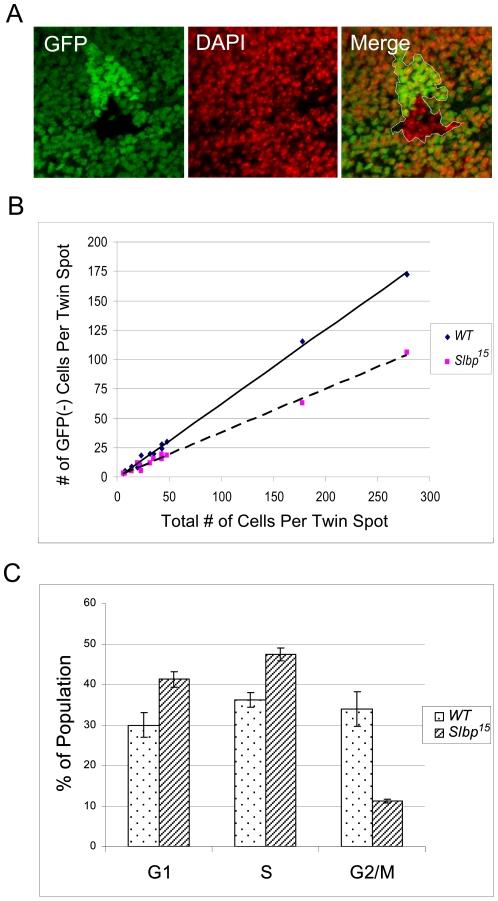 https://cdn.ncbi.nlm.nih.gov/pmc/blobs/1a37/2781718/3889303835fa/pone.0008168.g006.jpg