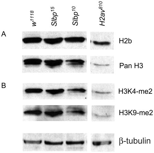 https://cdn.ncbi.nlm.nih.gov/pmc/blobs/1a37/2781718/d8bfc36c87e7/pone.0008168.g004.jpg