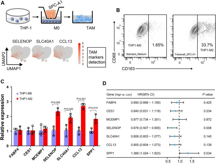 https://cdn.ncbi.nlm.nih.gov/pmc/blobs/1a38/10690610/aaee78b05e18/fphar-14-1295442-g006.jpg