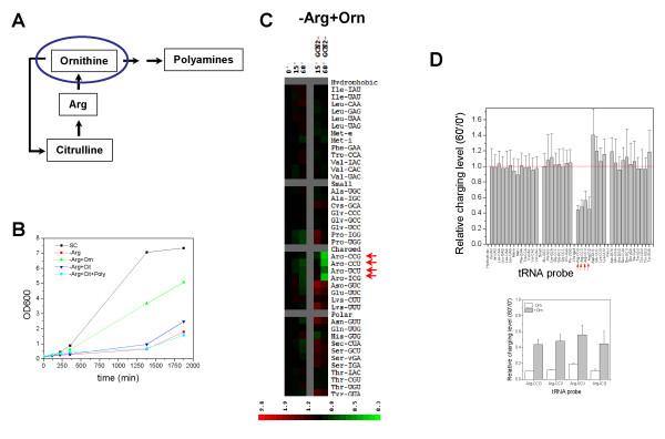 https://cdn.ncbi.nlm.nih.gov/pmc/blobs/1a3a/2921344/0c3848a3c049/1471-2091-11-29-5.jpg