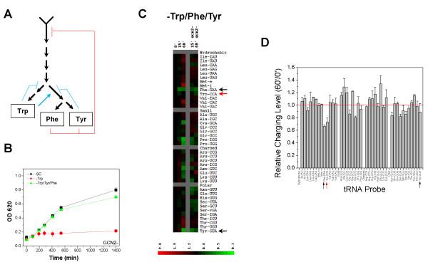 https://cdn.ncbi.nlm.nih.gov/pmc/blobs/1a3a/2921344/e98173e368ac/1471-2091-11-29-4.jpg