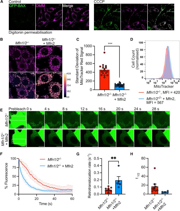 https://cdn.ncbi.nlm.nih.gov/pmc/blobs/1a3c/9616799/7396db5cc81b/gr6.jpg