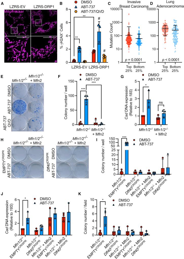 https://cdn.ncbi.nlm.nih.gov/pmc/blobs/1a3c/9616799/925ec958bfcb/gr2.jpg