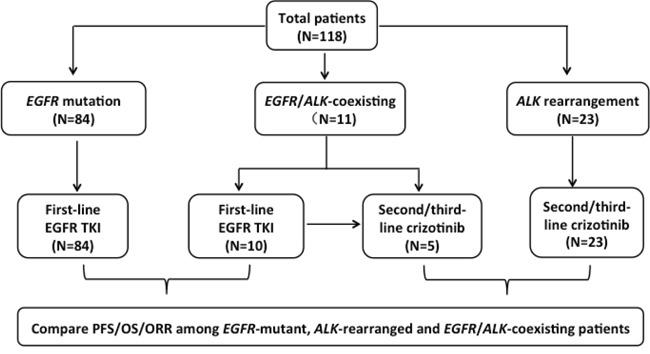 https://cdn.ncbi.nlm.nih.gov/pmc/blobs/1a3d/5323147/3554d999103f/oncotarget-07-65185-g001.jpg