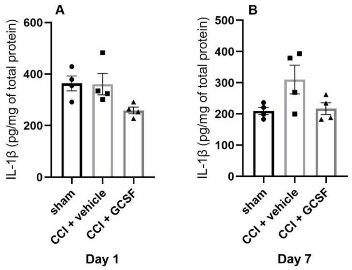 https://cdn.ncbi.nlm.nih.gov/pmc/blobs/1a3d/7408430/30ba52569a19/cells-09-01669-g006.jpg