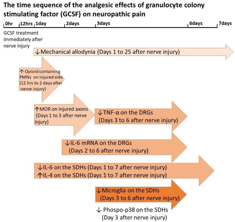 https://cdn.ncbi.nlm.nih.gov/pmc/blobs/1a3d/7408430/447eaa31be92/cells-09-01669-g001.jpg