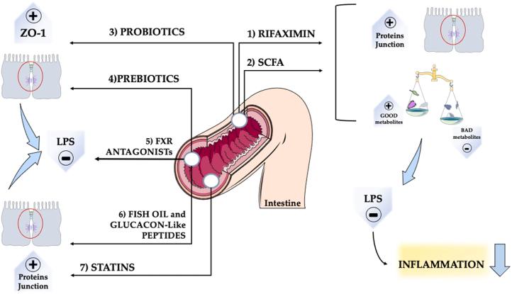 https://cdn.ncbi.nlm.nih.gov/pmc/blobs/1a3e/10978333/1ff9d9ba060c/gr3.jpg