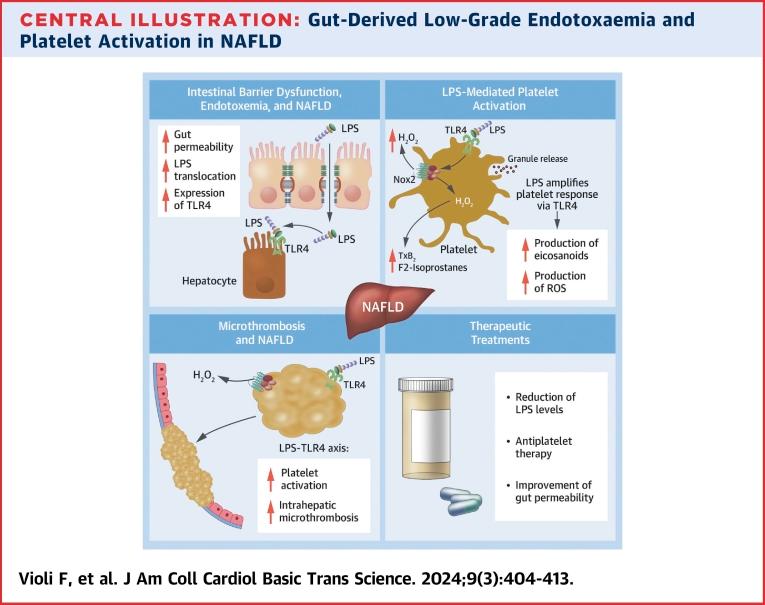 https://cdn.ncbi.nlm.nih.gov/pmc/blobs/1a3e/10978333/2fdd812c72a7/ga1.jpg
