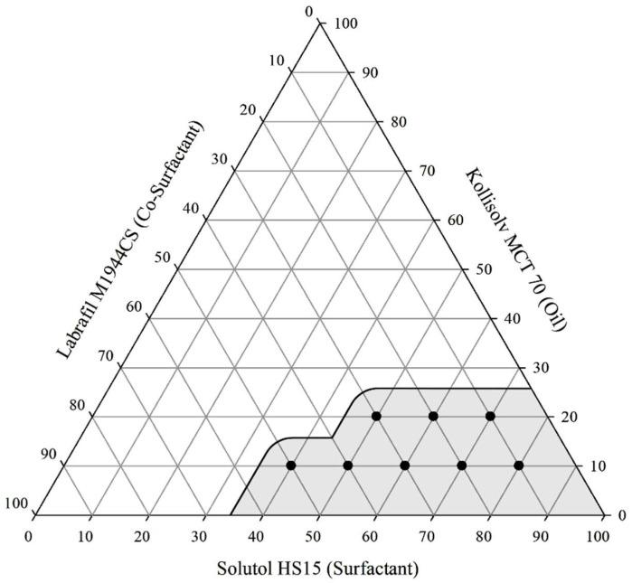 https://cdn.ncbi.nlm.nih.gov/pmc/blobs/1a3e/12115244/3a928d7b7bbe/pharmaceutics-17-00629-g002.jpg