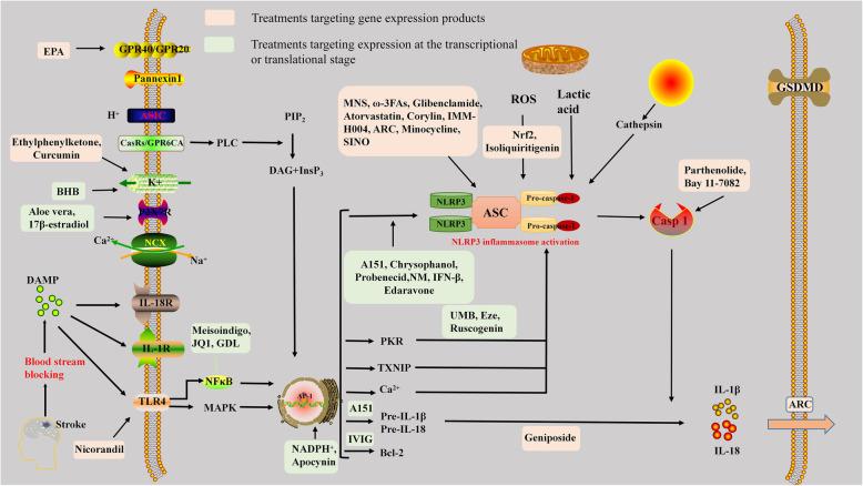 https://cdn.ncbi.nlm.nih.gov/pmc/blobs/1a3e/8168322/1e2b08269352/12974_2021_2137_Fig3_HTML.jpg
