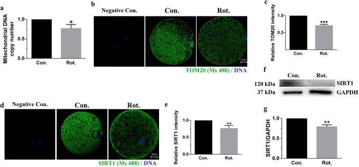 https://cdn.ncbi.nlm.nih.gov/pmc/blobs/1a3f/9704683/5613537e9d96/pone.0277477.g004.jpg