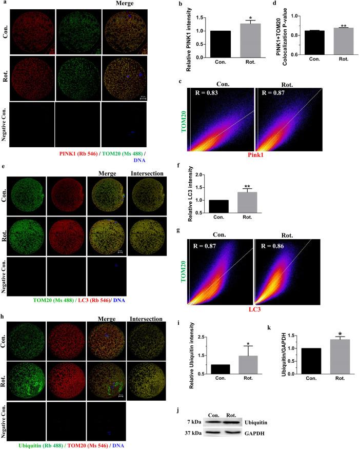 https://cdn.ncbi.nlm.nih.gov/pmc/blobs/1a3f/9704683/7ab5e7e02ff2/pone.0277477.g005.jpg