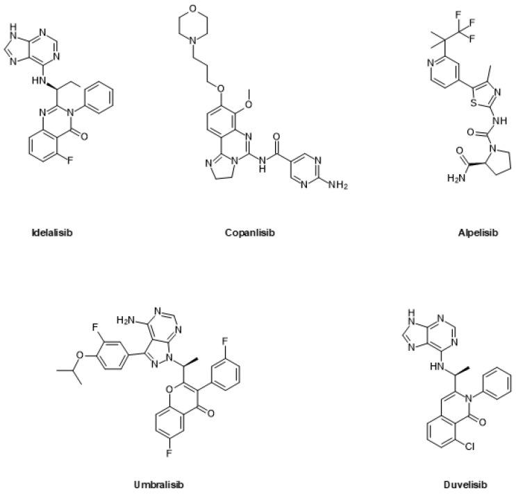 https://cdn.ncbi.nlm.nih.gov/pmc/blobs/1a41/9917236/fadcf0043642/ijms-24-02289-g005.jpg