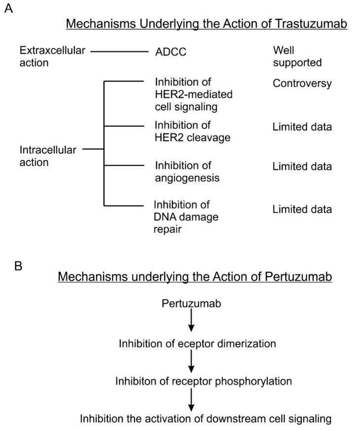 https://cdn.ncbi.nlm.nih.gov/pmc/blobs/1a42/6210751/fb265a3f91f8/cancers-10-00342-g002.jpg