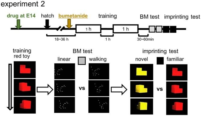 https://cdn.ncbi.nlm.nih.gov/pmc/blobs/1a47/10478028/8a81b277cfd1/tgac041f2.jpg