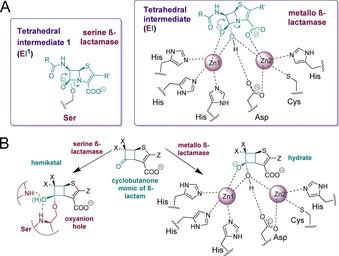 https://cdn.ncbi.nlm.nih.gov/pmc/blobs/1a47/5947706/78d364a16859/CHEM-24-5734-g002.jpg