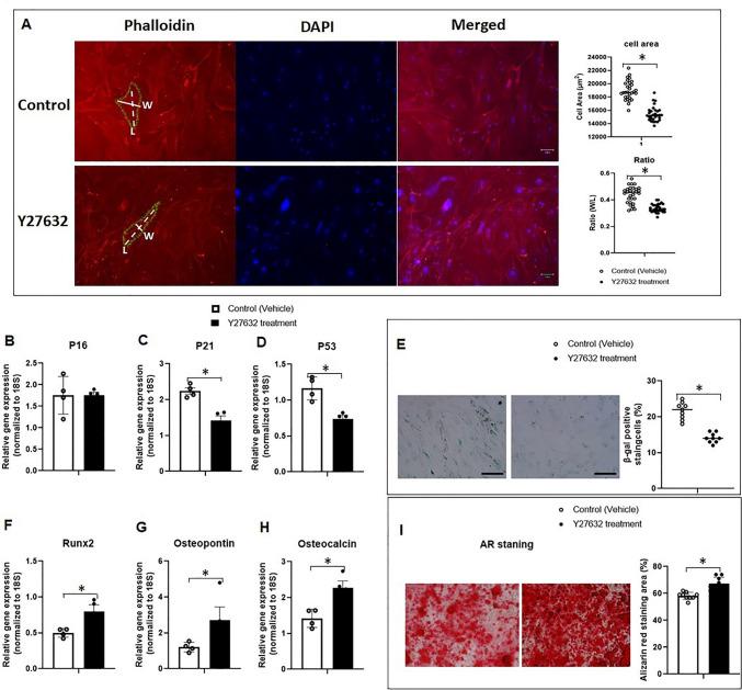 https://cdn.ncbi.nlm.nih.gov/pmc/blobs/1a48/11087332/876c6c0c0221/12015_2024_10707_Fig8_HTML.jpg