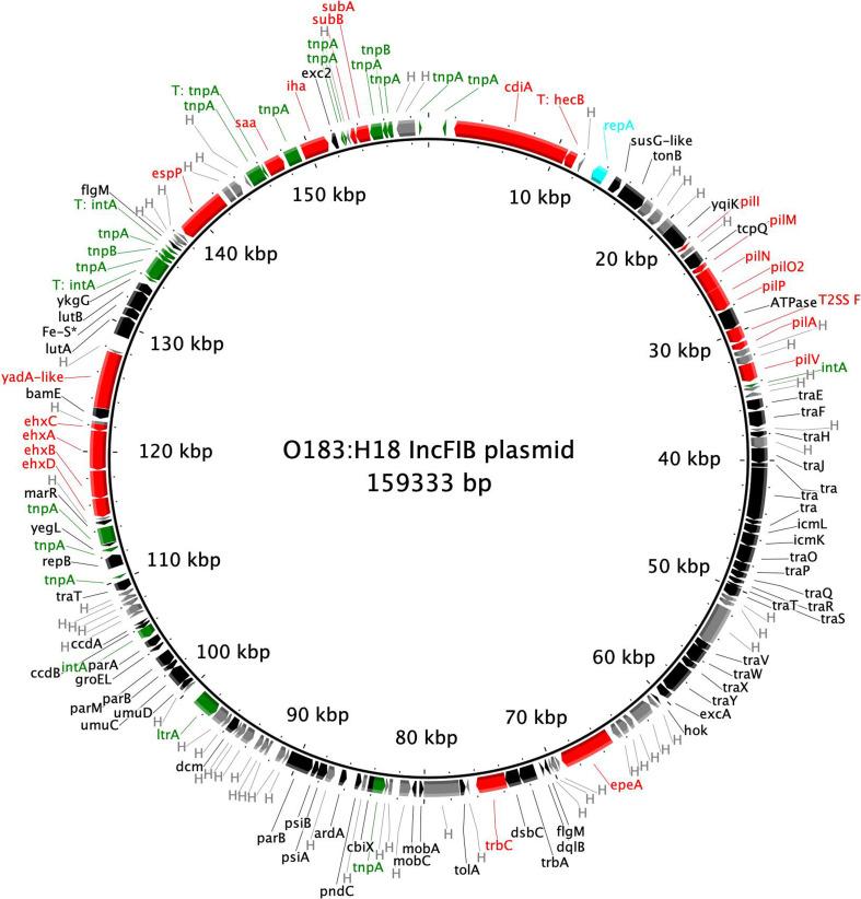 https://cdn.ncbi.nlm.nih.gov/pmc/blobs/1a48/11165631/32fa1ce9eb7b/mgen-10-01243-g005.jpg