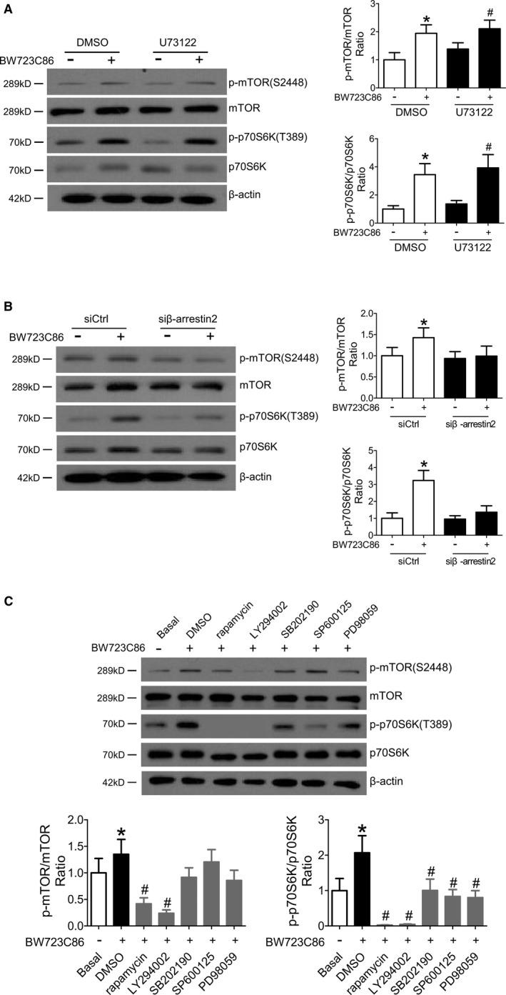 https://cdn.ncbi.nlm.nih.gov/pmc/blobs/1a49/5850233/b4d4a7346373/JAH3-7-e006810-g005.jpg