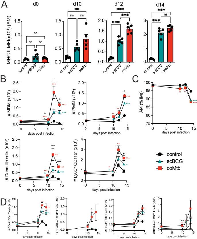 https://cdn.ncbi.nlm.nih.gov/pmc/blobs/1a4b/10796046/b103fbe5be2f/ppat.1011871.g001.jpg