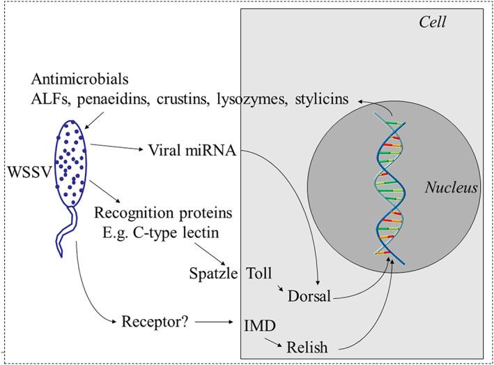 https://cdn.ncbi.nlm.nih.gov/pmc/blobs/1a4b/10946606/c1d916971502/RAQ-15-491-g001.jpg
