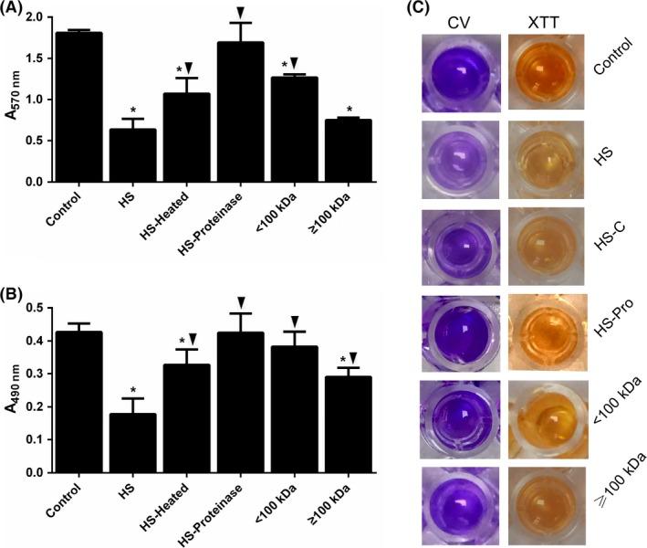 https://cdn.ncbi.nlm.nih.gov/pmc/blobs/1a4c/5221445/d7e1f7285078/MBO3-5-957-g005.jpg