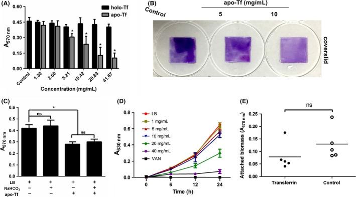 https://cdn.ncbi.nlm.nih.gov/pmc/blobs/1a4c/5221445/dc41b6e0dabc/MBO3-5-957-g006.jpg
