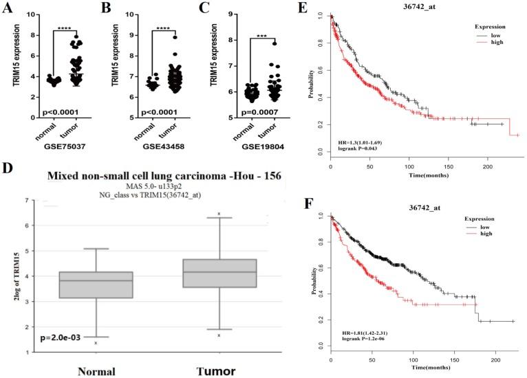 https://cdn.ncbi.nlm.nih.gov/pmc/blobs/1a4c/6400804/76c2efc42c84/jcav10p0843g003.jpg