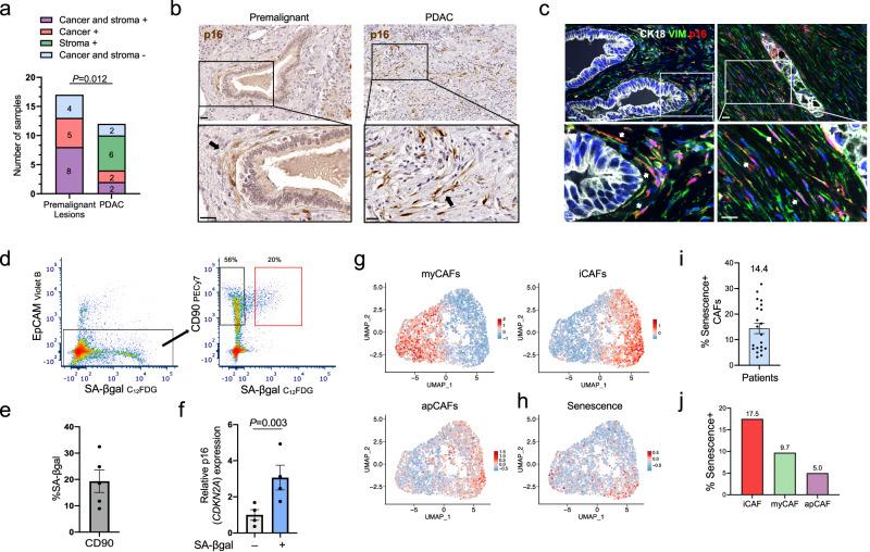 https://cdn.ncbi.nlm.nih.gov/pmc/blobs/1a4d/11263607/60f025ea8f4c/41467_2024_50441_Fig2_HTML.jpg